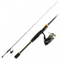 Ensemble Spinning Daiwa Pack Tsuki 03 Exceler carbonne