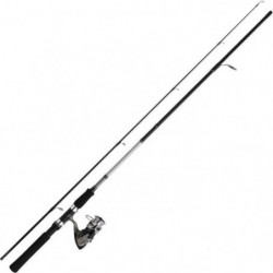 Ensemble Spinning Daiwa...