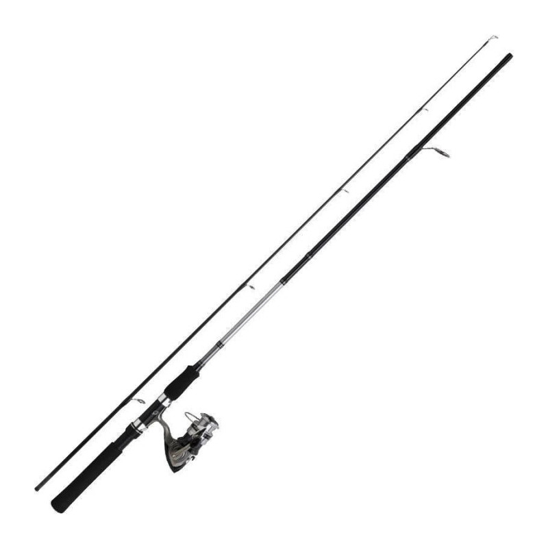 Ensemble Spinning Daiwa Sweepfire Set lancer 01 / 02 / 03