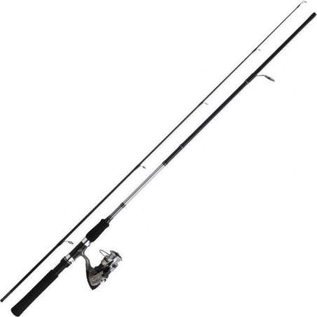 Ensemble Spinning Daiwa Sweepfire Set lancer 01 / 02 / 03