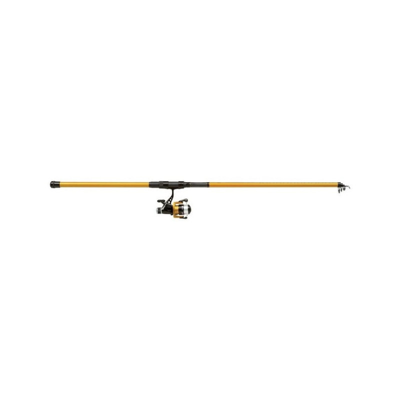 Ensemble Spinning Mitchell - Catch Pro Tele Combo