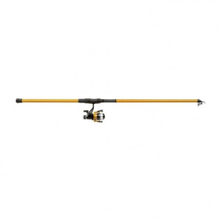 Ensemble Spinning Mitchell - Catch Pro Tele Combo