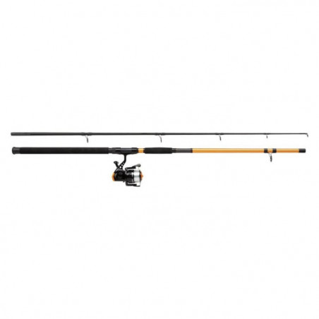 Ensemble spinning Mitchell Catch Pro Catfish