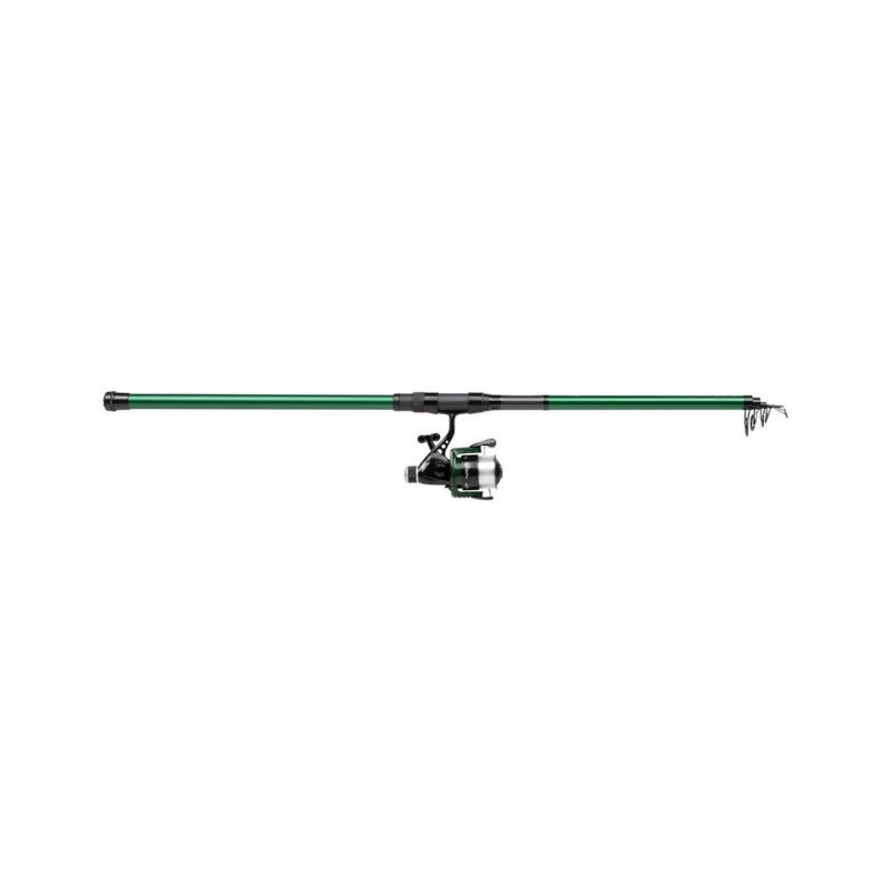 Ensemble spinning Mitchell Catch Pro Strong - Téléscopique