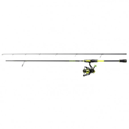 Ensemble spinning Mitchell Colors Mx