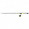 Ensemble spinning Mitchell Colors Mx