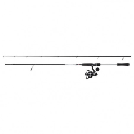 Ensemble spinning Penn Pursuit Inshore