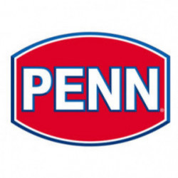 Ensemble spinning Penn...