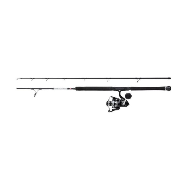 Ensemble spinning Penn Pursuit® IV Boat