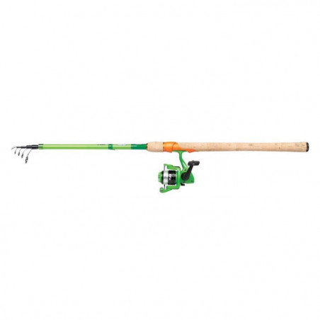Ensemble spinning téléscopique Berkley Flex™ Trout