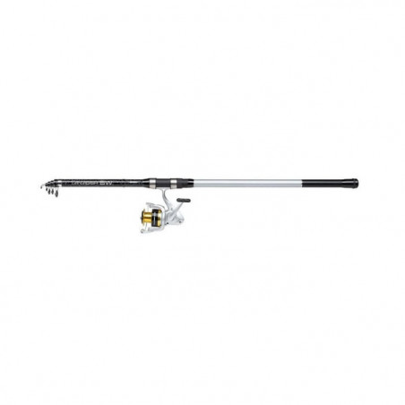 Ensemble spinning télescopique Mitchell Tanager SW Surf