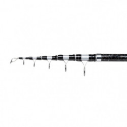 Ensemble spinning téléscopique Mitchell Tanager SW Surf Pro