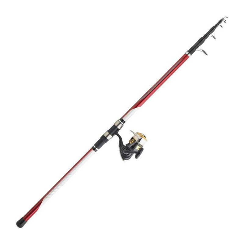 Ensemble Surf Téléscopique Daiwa Set Surf 04