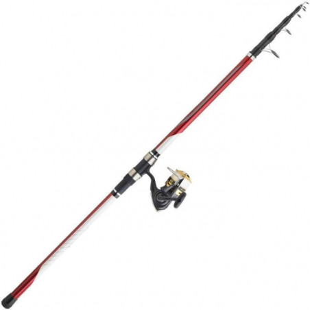 Ensemble Surf Téléscopique Daiwa Set Surf 04