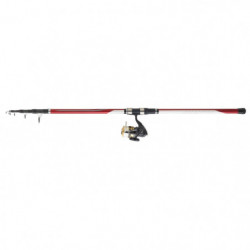 Ensemble Surf Téléscopique Daiwa Set Surf 04