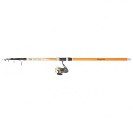 Ensemble télécopique Daiwa Surf 07