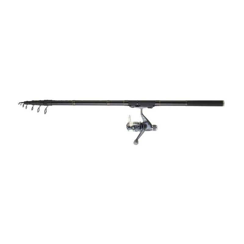 Ensemble truite réglable Daiwa réglable 08