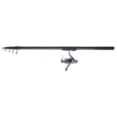 Ensemble truite réglable Daiwa réglable 08