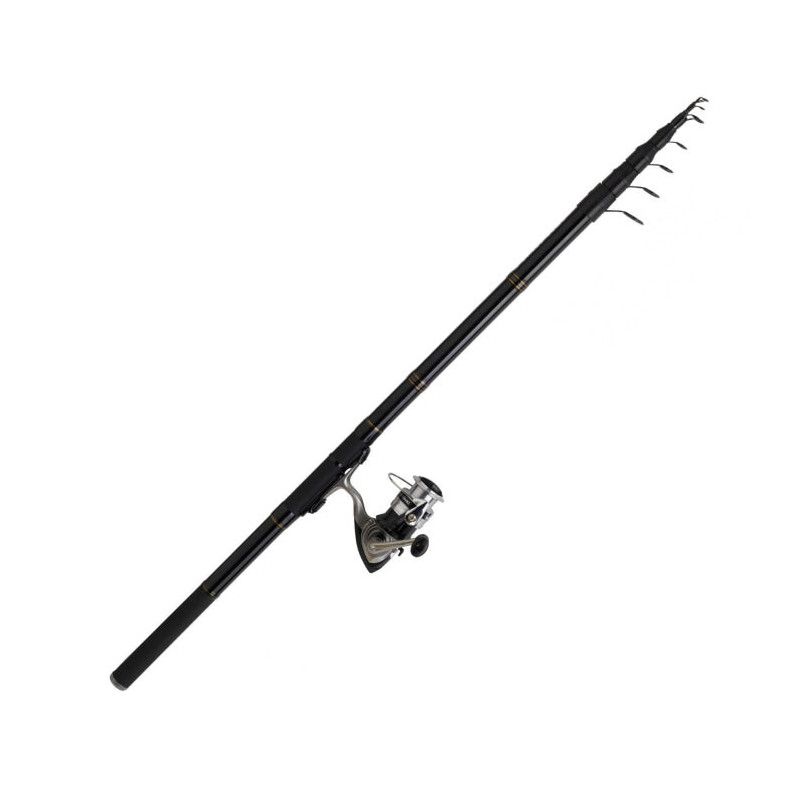 Ensemble Truite réglable Daiwa Sweepfire Set Reg 04