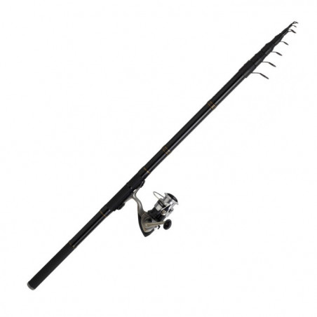 Ensemble Truite réglable Daiwa Sweepfire Set Reg 04