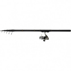 Ensemble Truite réglable Daiwa Sweepfire Set Reg 04