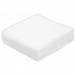 Patchs de nettoyage pour canons