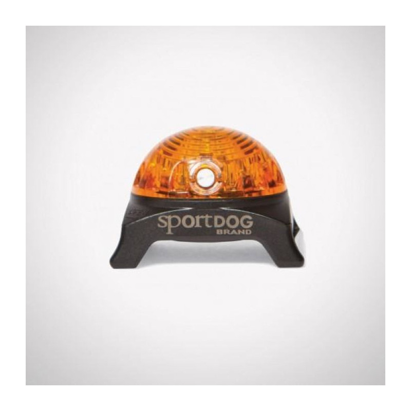 Localisateur lumineux SportDog