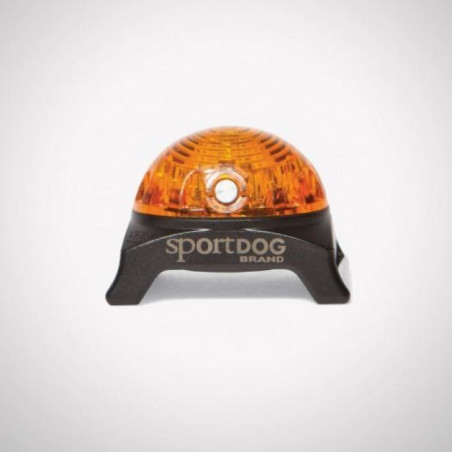 Localisateur lumineux SportDog