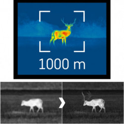 Jumelle thermique Pulsar Merger LRF XP50