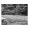 Jumelles de Vision thermique HikMicro TS16-50