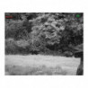 Jumelles de Vision thermique HikMicro TS16-50