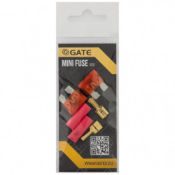 Lot de 2 mini fusibles - GATE