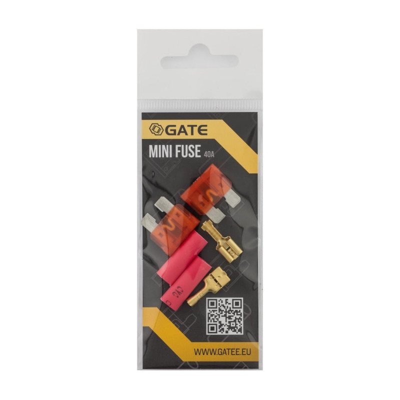 Lot de 2 mini fusibles - GATE