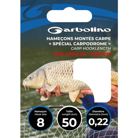 Hameçons Garbolino Spécial Carpodrome - Sans ardillon