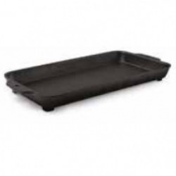 Plancha BioLite pour Firepit