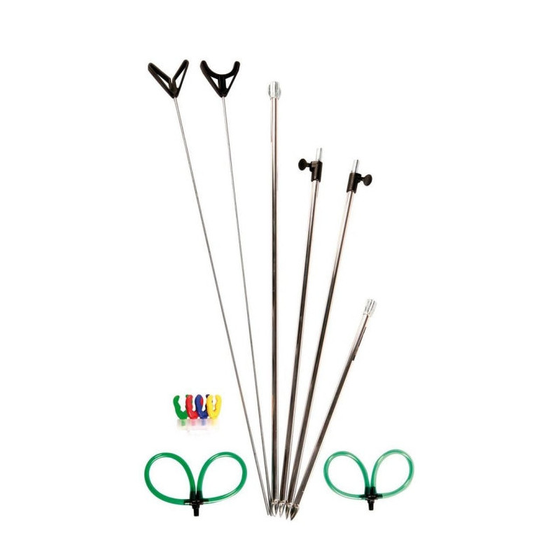 Repose-Canne Shakespeare Bank Stick