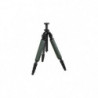 Trépieds Swarovski Optik Carbone Compact