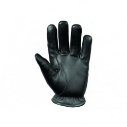 Gants Palpation Equipol...