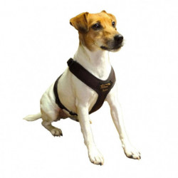 Harnais petit chien...
