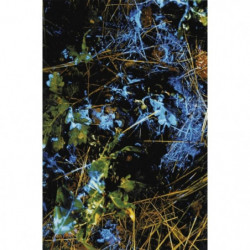 Kit révélateur de sang BlueStar - Pulvérisateur