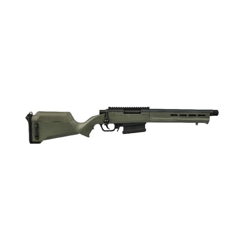 Fusil de sniper Ares AMOEBA "STRIKER" S2