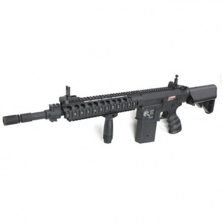 Réplique Longue Smart Team - Matrix SR25 AEG Noir