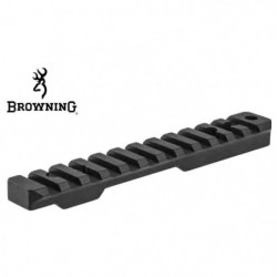 Rail Browning Pic/Weaver...