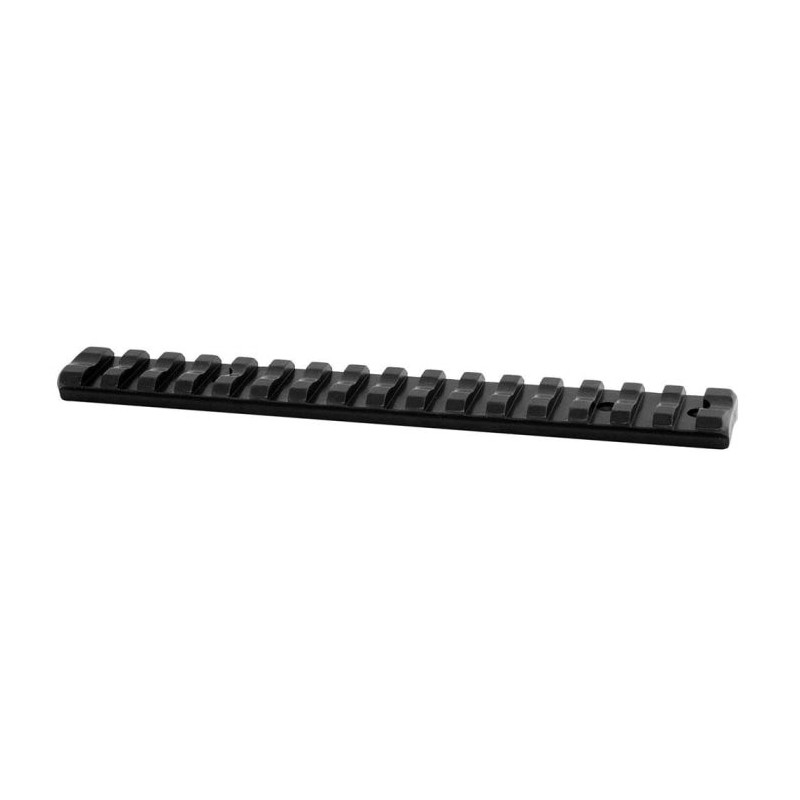 Rail de montage EAW Picatinny acier