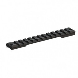 Rail Long Acier Recknagel...