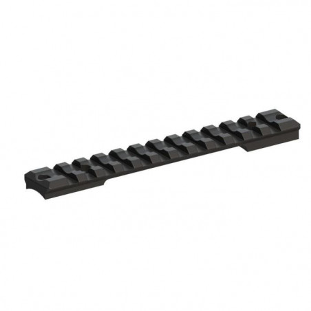 Rail Long Acier Recknagel Picatinny