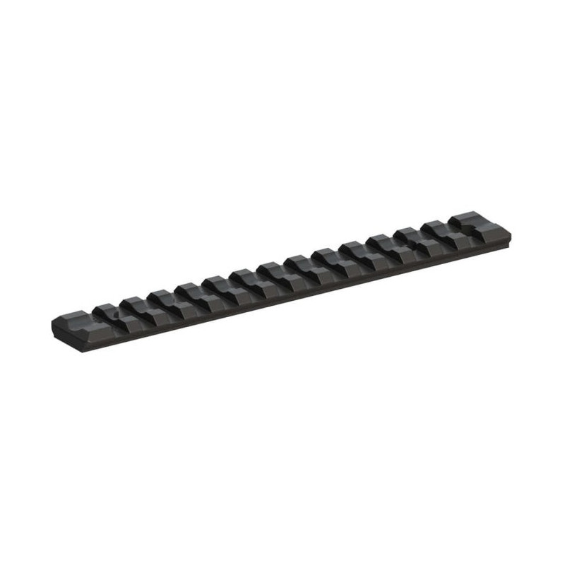 Rail Long Recknagel Picatinny - 20 Moa