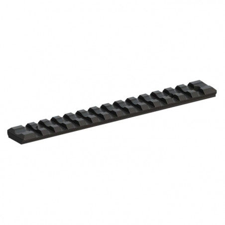 Rail Long Recknagel Picatinny - 20 Moa