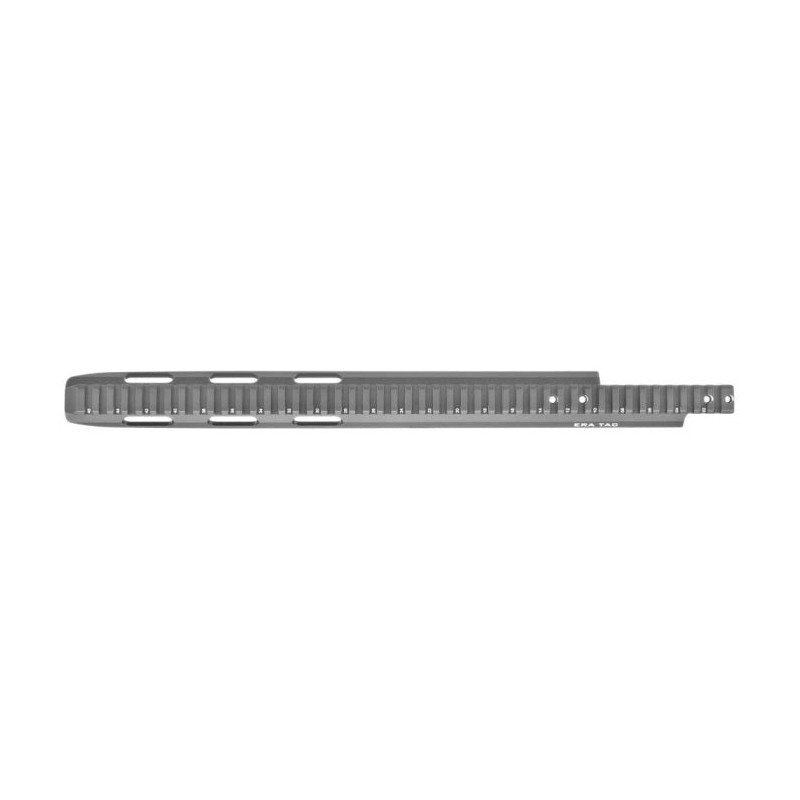 Rail Tactique Recknagel Picatinny