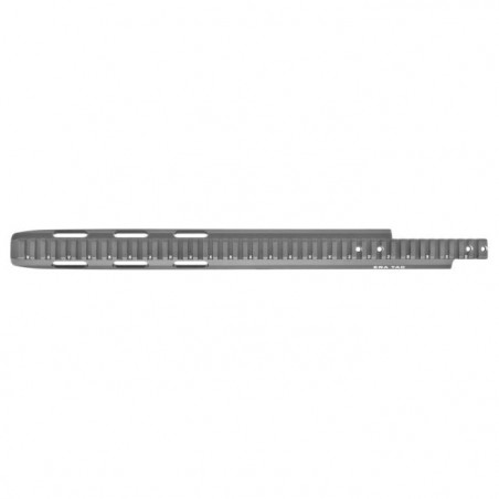 Rail Tactique Recknagel Picatinny